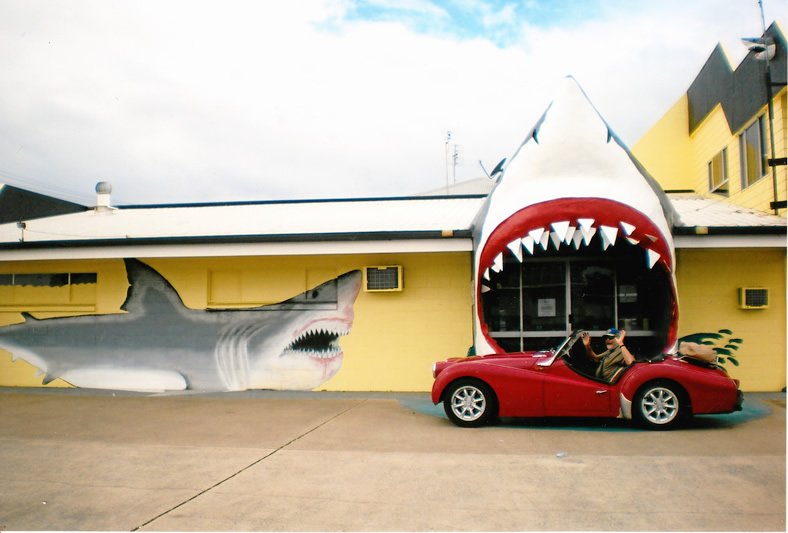 Big Shark - Torquay